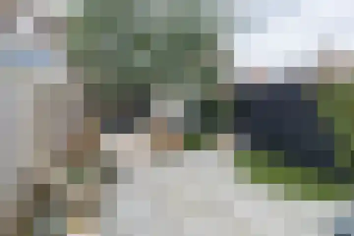 Wijnakker 6 Barneveld thumbnail 38