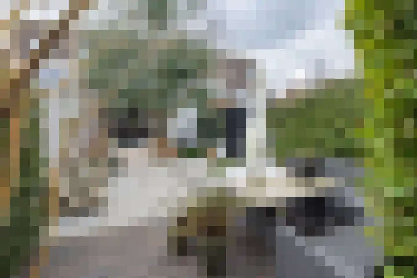 Wijnakker 6 Barneveld thumbnail 39