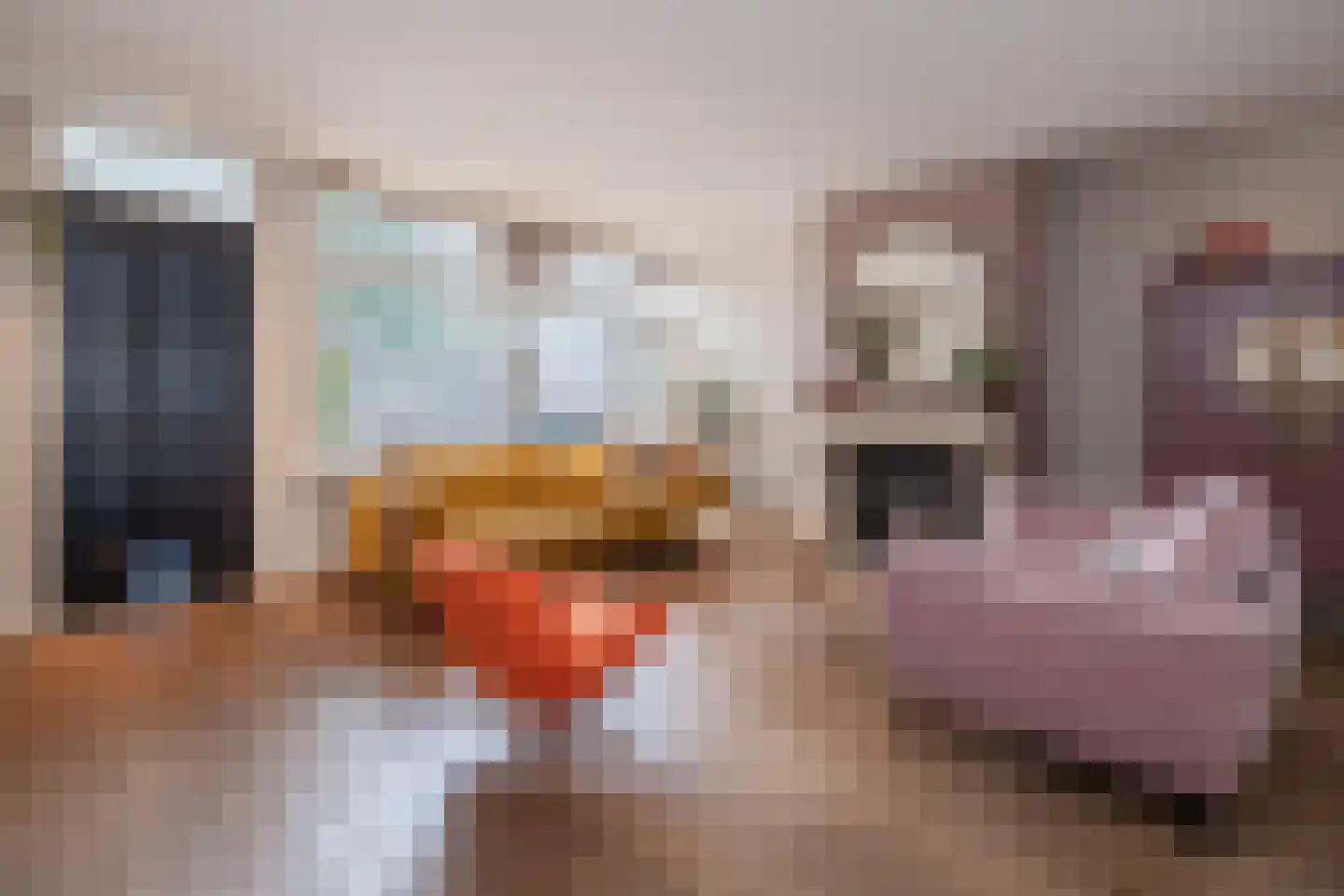 Wijnakker 6 Barneveld thumbnail 4