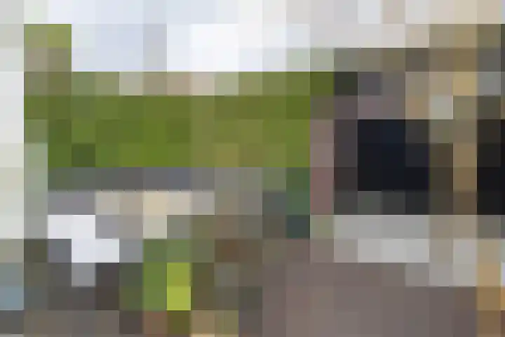 Wijnakker 6 Barneveld thumbnail 40