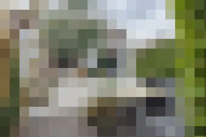 Wijnakker 6 Barneveld thumbnail 41