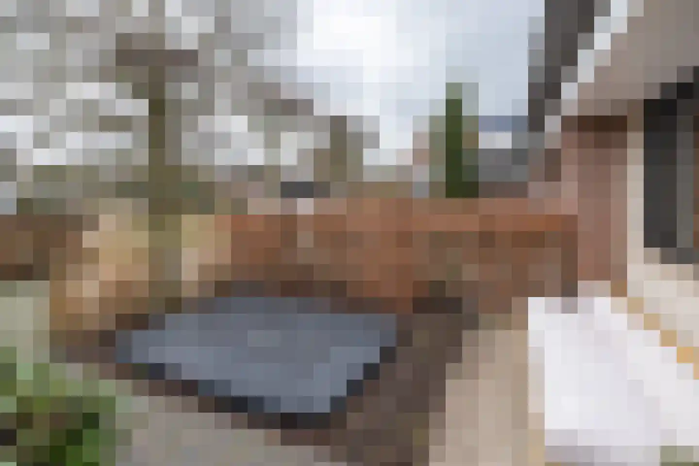 Wijnakker 6 Barneveld thumbnail 41