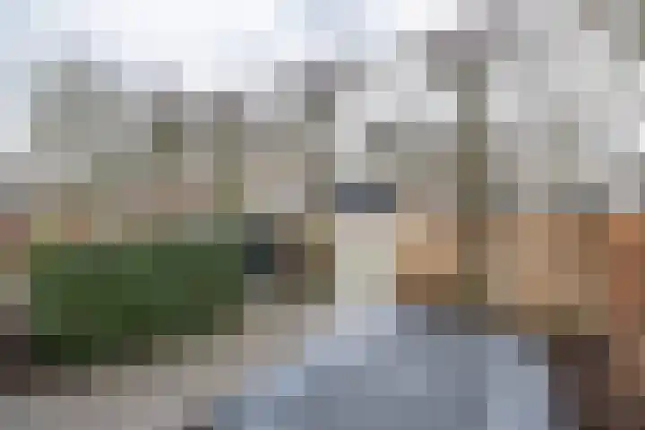 Wijnakker 6 Barneveld thumbnail 42