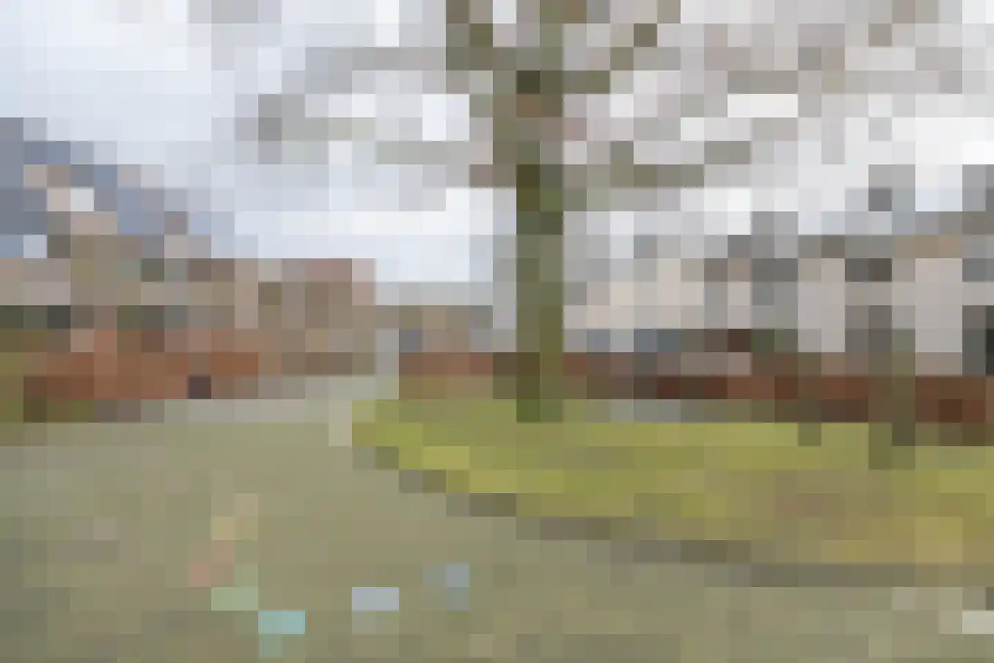 Wijnakker 6 Barneveld thumbnail 43