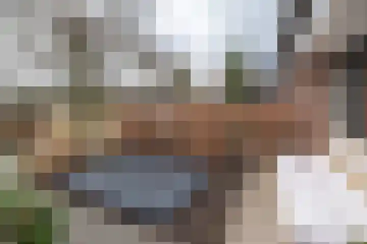 Wijnakker 6 Barneveld thumbnail 43
