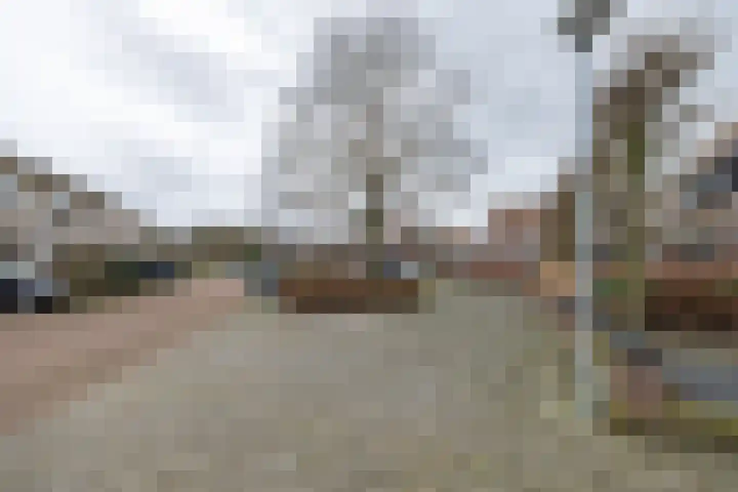 Wijnakker 6 Barneveld thumbnail 45