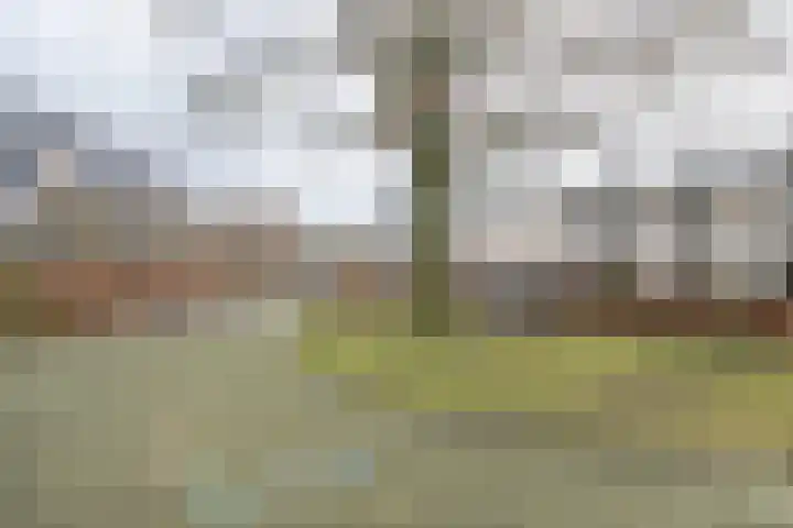 Wijnakker 6 Barneveld thumbnail 45