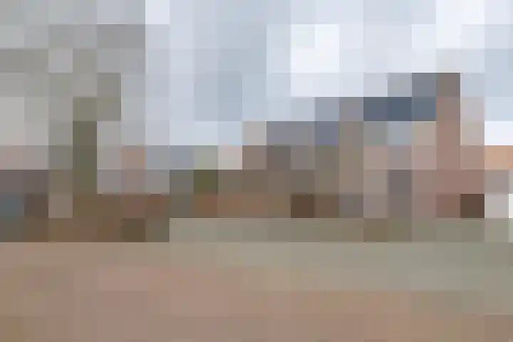 Wijnakker 6 Barneveld thumbnail 46