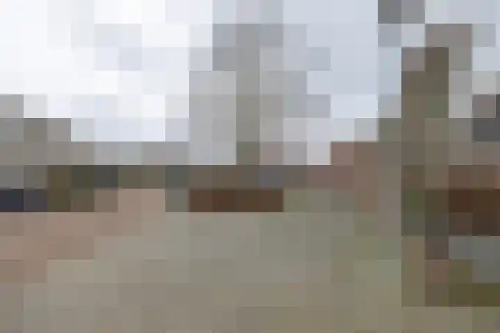 Wijnakker 6 Barneveld thumbnail 47