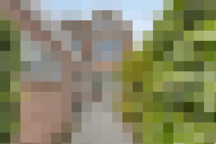 Wijnand Nieuwenkampstraat 23 Volendam thumbnail 32