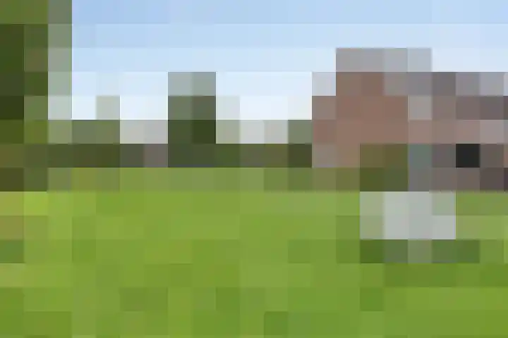 Wijnand Nieuwenkampstraat 23 Volendam thumbnail 34