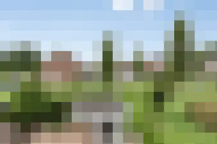 Wijnand Nieuwenkampstraat 23 Volendam thumbnail 5