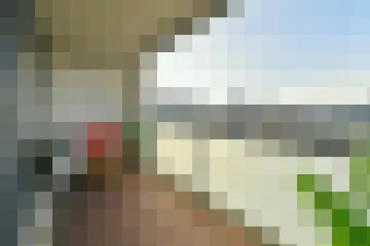 Wijnand Nuijenstraat 114 Amsterdam thumbnail 8