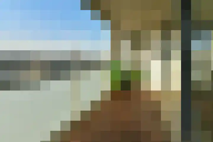 Wijnand Nuijenstraat 114 Amsterdam thumbnail 9