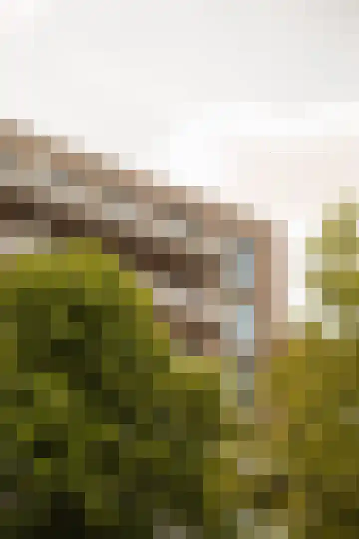 Wijnand Nuijenstraat 64 Amsterdam thumbnail 33