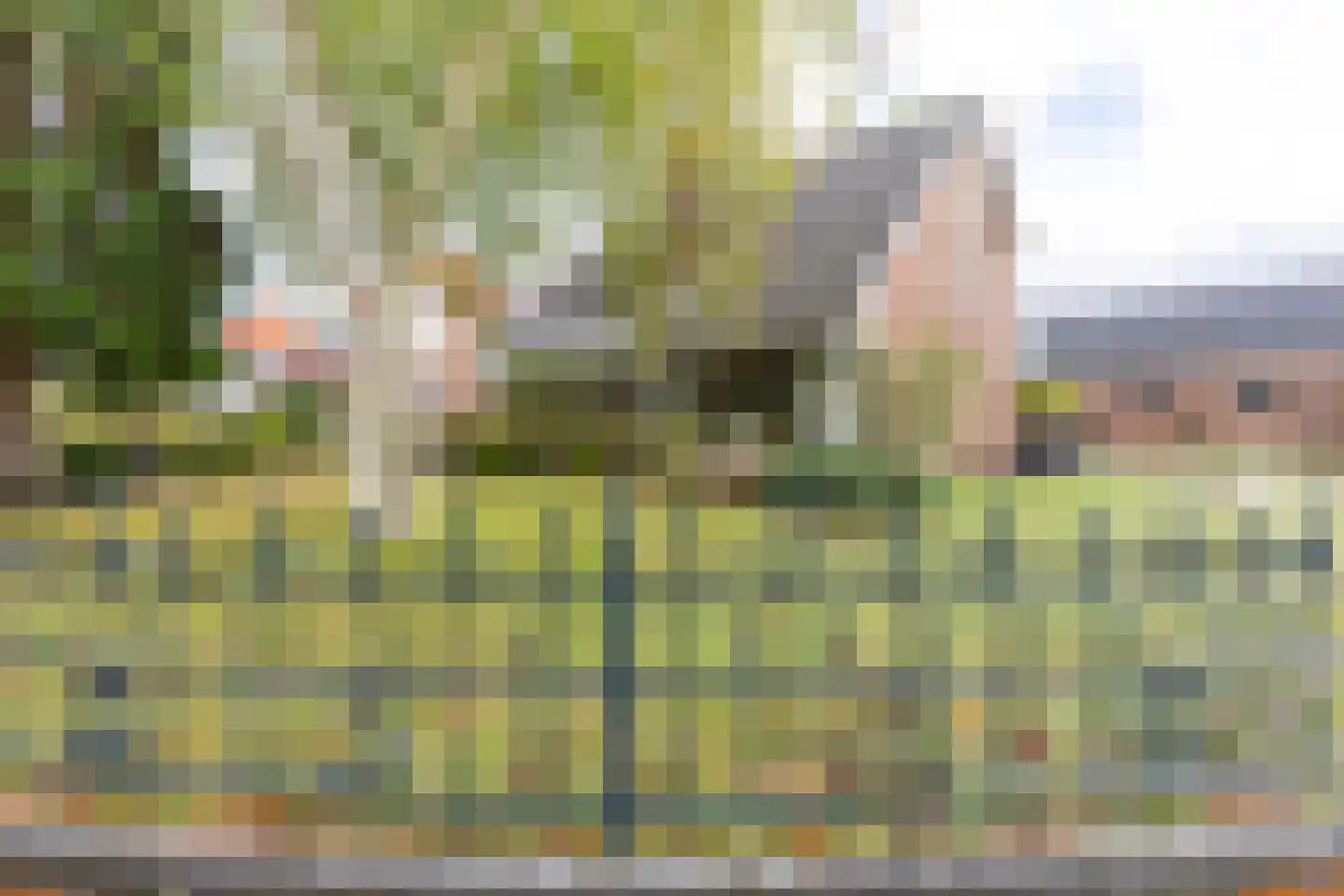 Wijnand Toplaan 11 Soest thumbnail 22