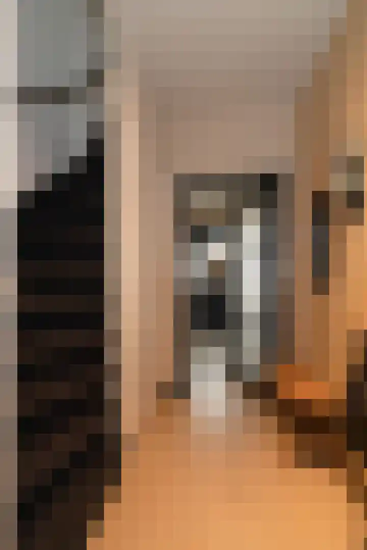 Wijnand Zeeuwstraat 52 Rijssen thumbnail 15