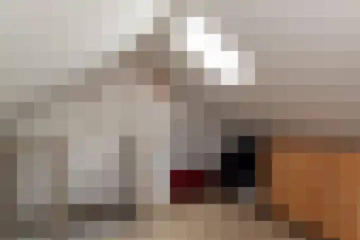 Wijnand Zeeuwstraat 52 Rijssen thumbnail 26