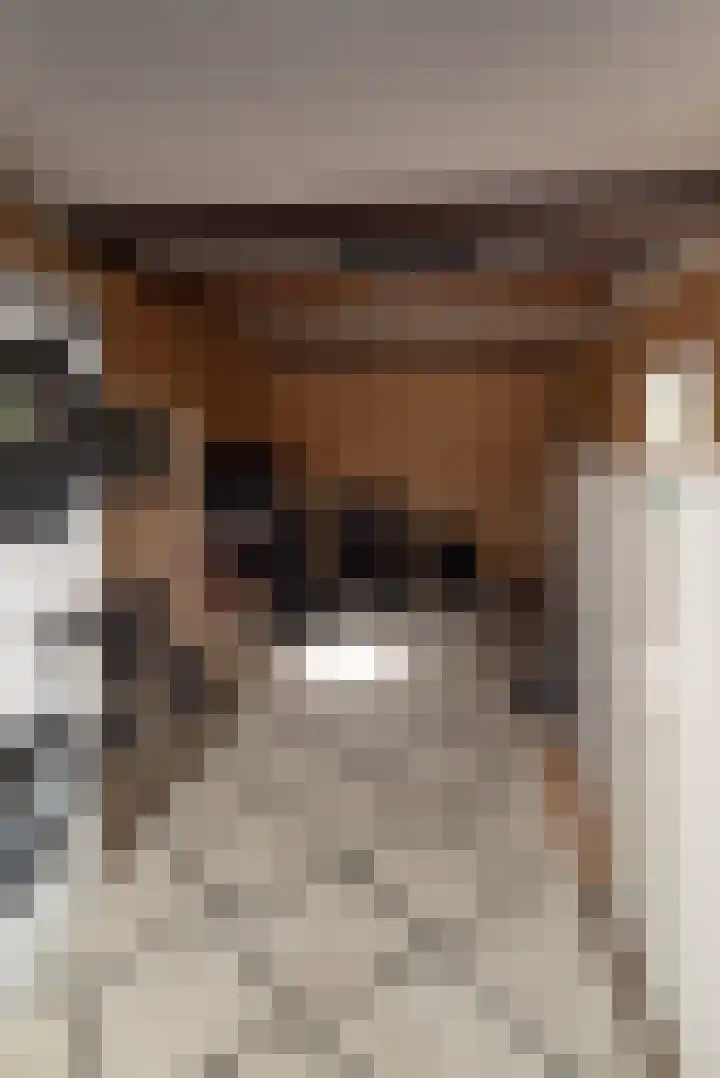 Wijnand Zeeuwstraat 52 Rijssen thumbnail 29