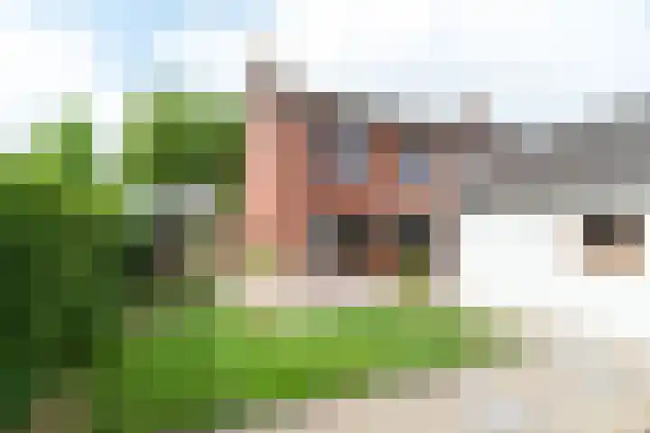 Wijnand Zeeuwstraat 52 Rijssen thumbnail 31
