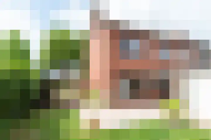Wijnand Zeeuwstraat 52 Rijssen thumbnail 32