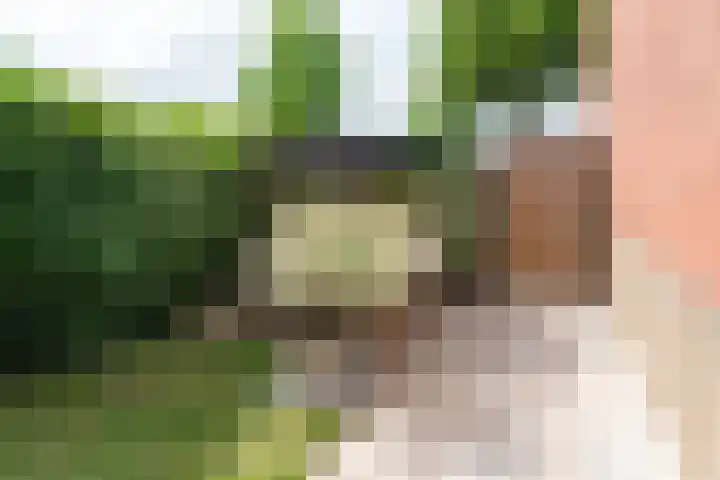 Wijnand Zeeuwstraat 52 Rijssen thumbnail 33