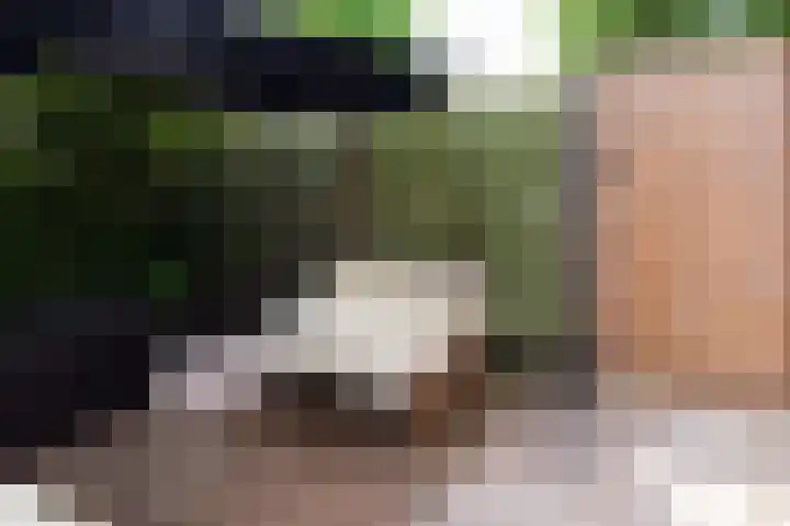 Wijnand Zeeuwstraat 52 Rijssen thumbnail 34