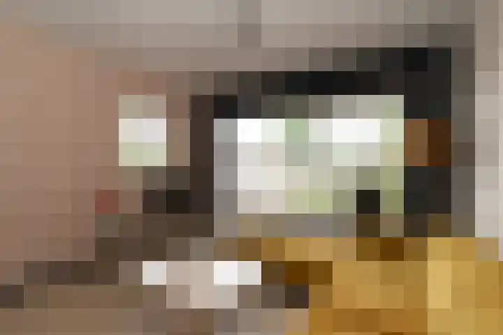 Wijnand Zeeuwstraat 52 Rijssen thumbnail 4