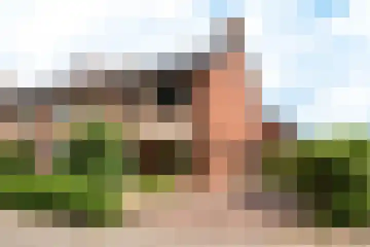 Wijnand Zeeuwstraat 52 Rijssen thumbnail 41