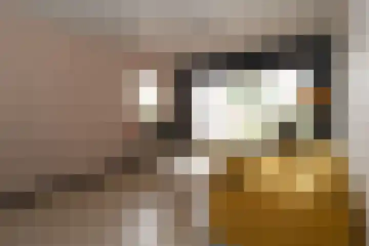 Wijnand Zeeuwstraat 52 Rijssen thumbnail 5