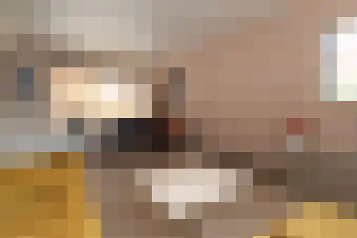 Wijnand Zeeuwstraat 52 Rijssen thumbnail 6