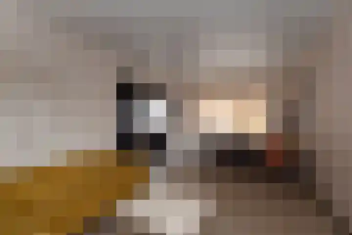 Wijnand Zeeuwstraat 52 Rijssen thumbnail 7