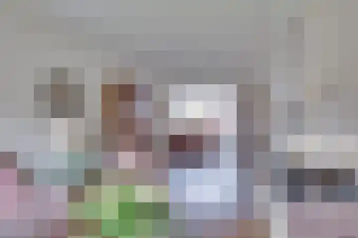 Wijnand Zeeuwstraat 70 Rijssen thumbnail 10