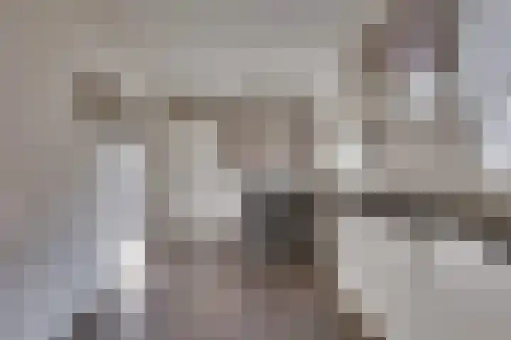 Wijnand Zeeuwstraat 70 Rijssen thumbnail 16