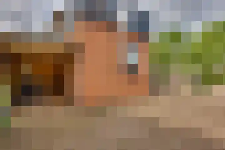 Wijnand Zeeuwstraat 70 Rijssen thumbnail 40