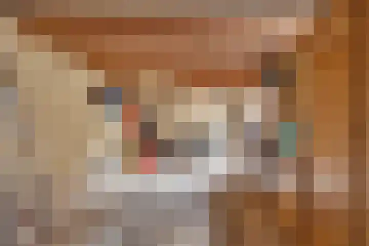 Wijnand Zeeuwstraat 70 Rijssen thumbnail 42