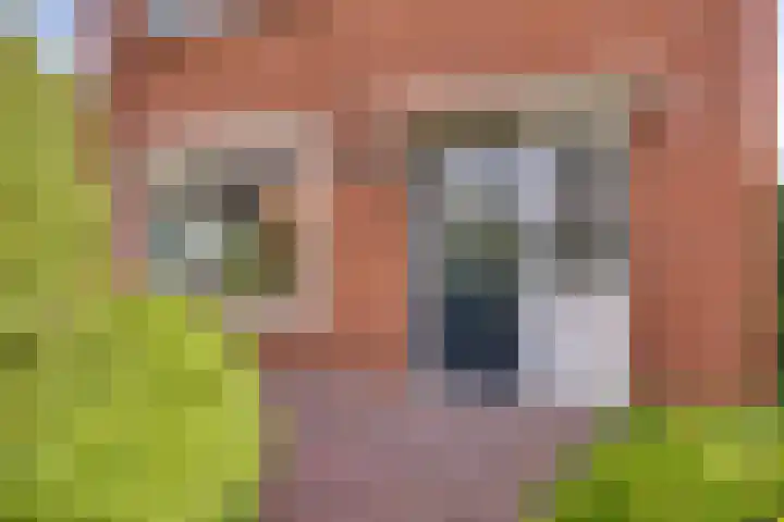 Wijnand Zeeuwstraat 70 Rijssen thumbnail 6
