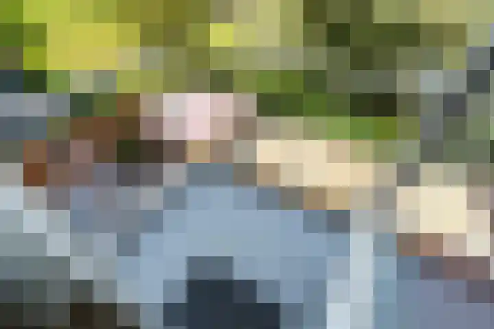 Wijnandt van Elststraat 10 Rijswijk thumbnail 22