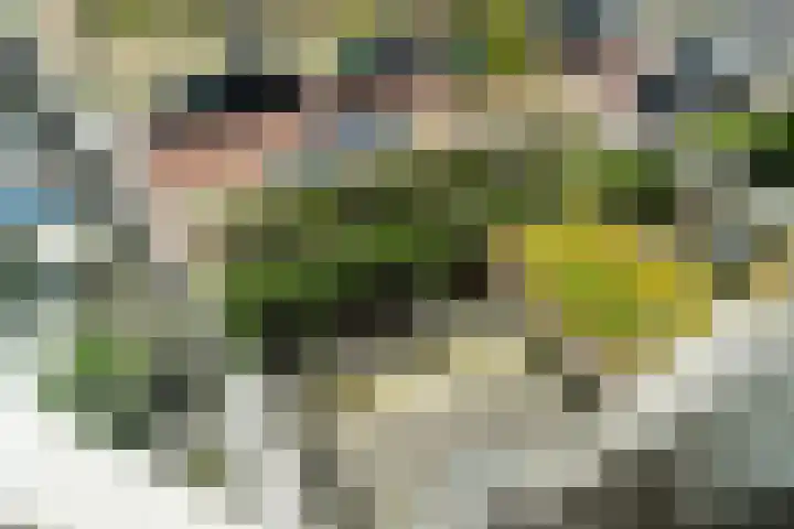 Wijnandt van Elststraat 10 Rijswijk thumbnail 23