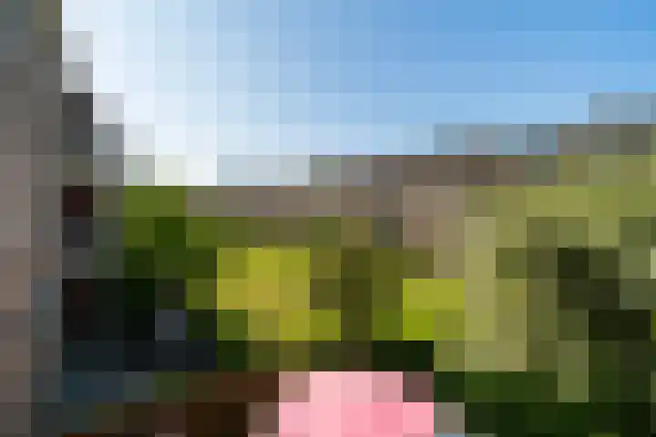 Wijnandt van Elststraat 10 Rijswijk thumbnail 24