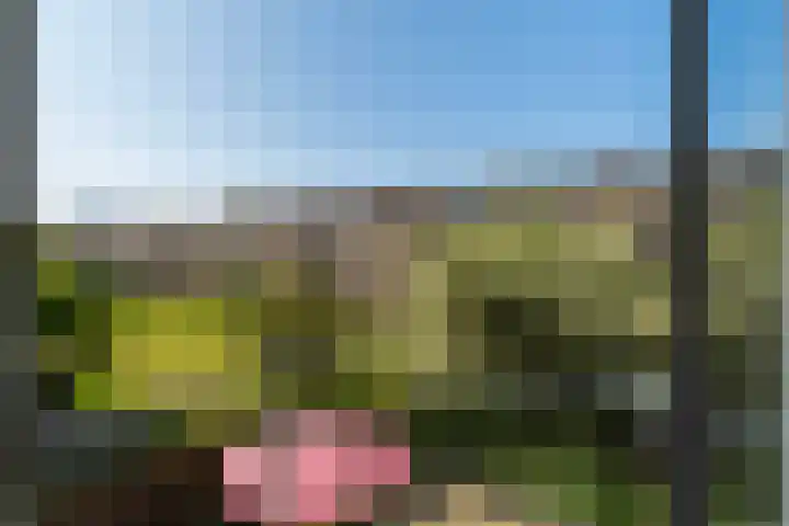 Wijnandt van Elststraat 10 Rijswijk thumbnail 25