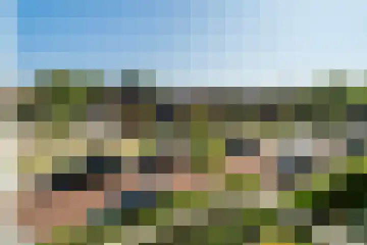 Wijnandt van Elststraat 10 Rijswijk thumbnail 26