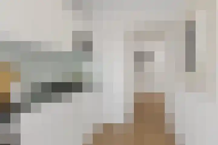 Wijnandt van Elststraat 10 Rijswijk thumbnail 4