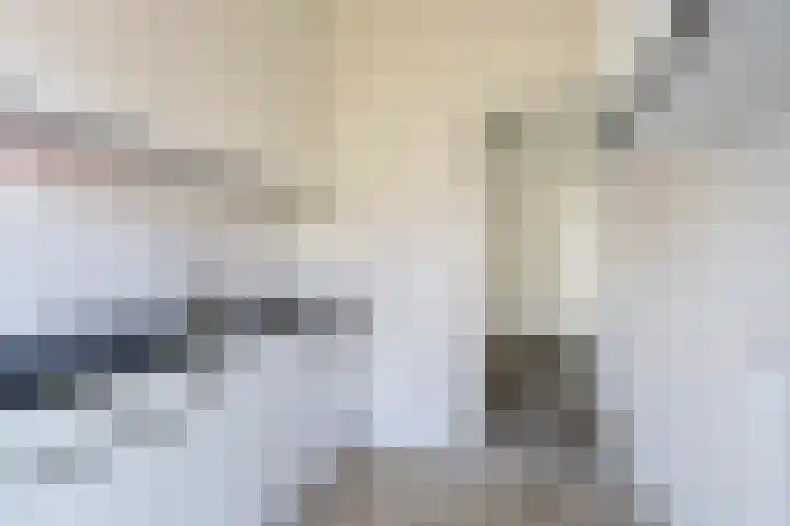 Wijnandt van Elststraat 10 Rijswijk thumbnail 5