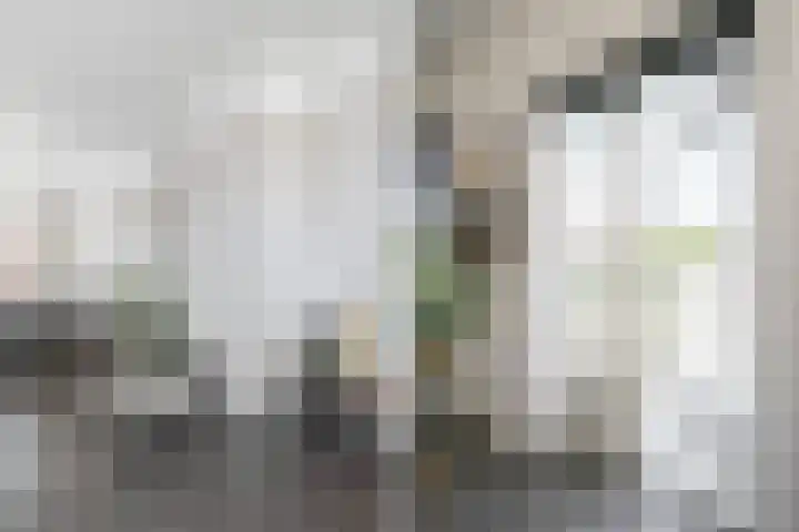 Wijnandt van Elststraat 30 Rijswijk thumbnail 11
