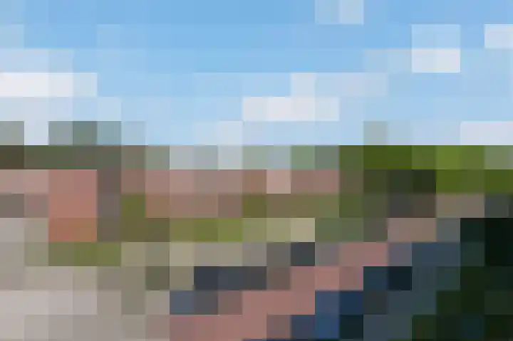 Wijnandt van Elststraat 30 Rijswijk thumbnail 15
