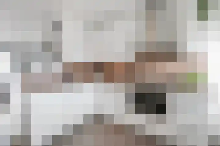 Wijnandt van Elststraat 30 Rijswijk thumbnail 17