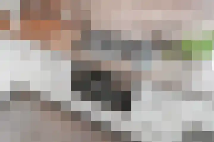Wijnandt van Elststraat 30 Rijswijk thumbnail 19