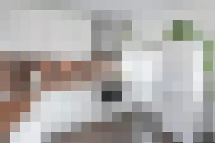 Wijnandt van Elststraat 30 Rijswijk thumbnail 20