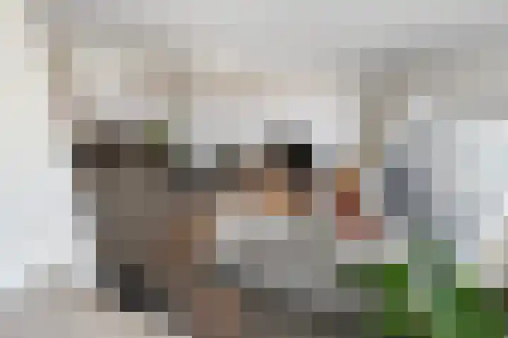 Wijnandt van Elststraat 30 Rijswijk thumbnail 22